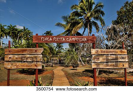 Finca Fiesta Campesina in park, Havana Province, Cuba View Large Photo Image Picture - Finca Fiesta Campesina in park, Havana Province, Cuba . Fotosearch