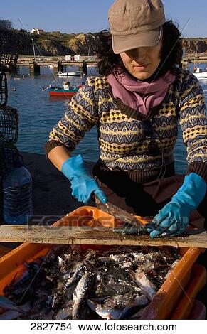 Picture - fisher in Portugal . Fotosearch