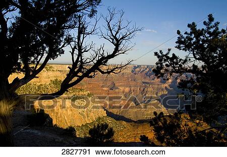 Grand Canyon, USA View Large Photo Image Stock Image - Grand Canyon, USA . Fotosearch