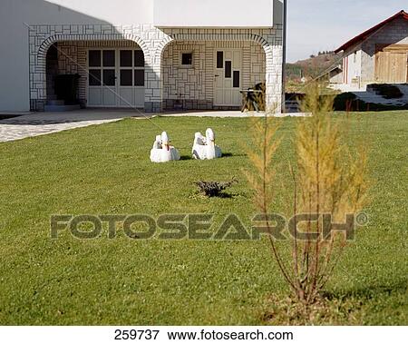 Grass growing in garden in front of house View Large Photo Image Stock Photo - Grass growing in garden in front of house . Fotosearch