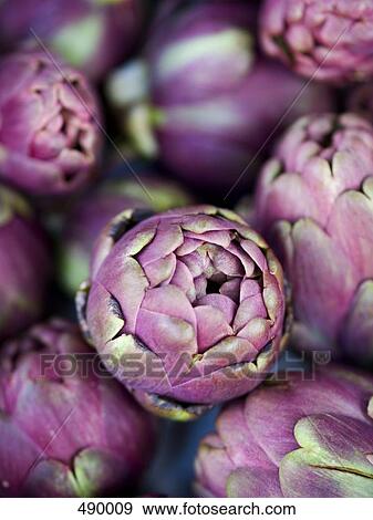 Stock Photo - group of artichokes, elevated view . Fotosearch