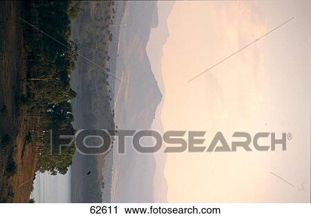 High angle view of lake surrounded with trees, Andalusia, Spain, Europe View Large Photo Image Stock Image - High angle view of lake surrounded with trees, Andalusia, Spain, Europe . Fotosearch