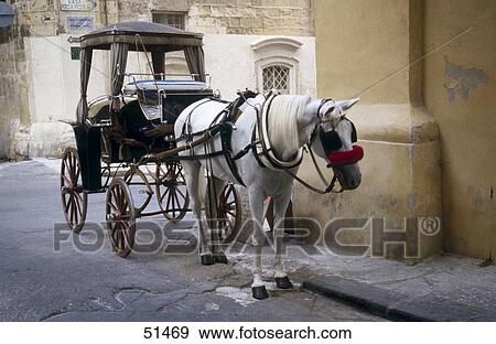 Horse drawn carriage in street, Valetta, Malta View Large Photo Image Stock Photo - Horse drawn carriage in street, Valetta, Malta . Fotosearch
