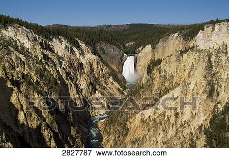 Lower Falls in the Grand Canyon of the Yellowstone view from Artist Point, USA View Large Photo Image Stock Photo - Lower Falls in the Grand Canyon of the Yellowstone view from Artist Point, USA . Fotosearch