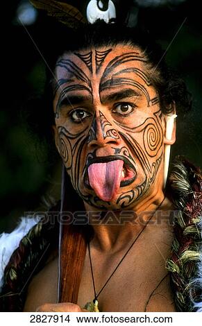 Maori, portrait View Large Photo Image Picture - Maori, portrait . Fotosearch