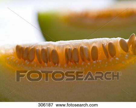 Stock Photo - melon slices, close-up . Fotosearch
