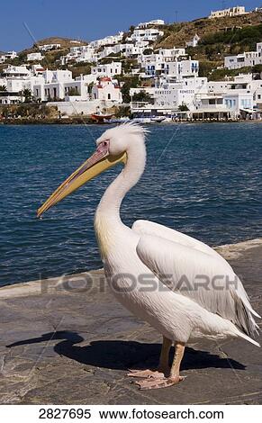 Stock Photography - Mykonos, Greece . Fotosearch