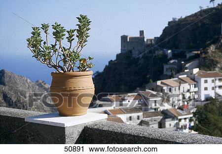Stock Image - Potted plant on fence overlooking city, Corleone, Sicily, Italy . Fotosearch