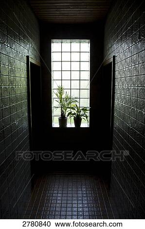Stock Image - Potted plants on window . Fotosearch