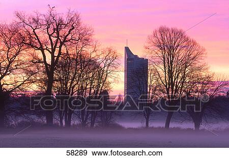 Silhouette of bare trees in municipal park, Saxony, Germany View Large Photo Image Stock Photo - Silhouette of bare trees in municipal park, Saxony, Germany . Fotosearch