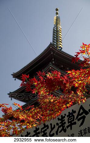 Asakusa shrine, Tokyo, Japan View Large Photo Image Stock Photography - Asakusa shrine, Tokyo, Japan . Fotosearch