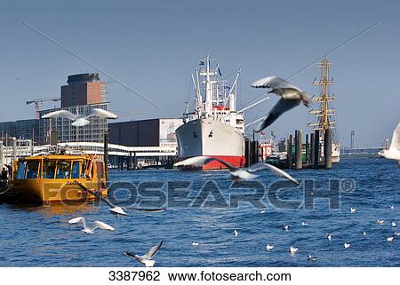 Stock Image - Barge and museum ship in Hamburg harbour, gulls flying in the foreground, Germany . Fotosearch