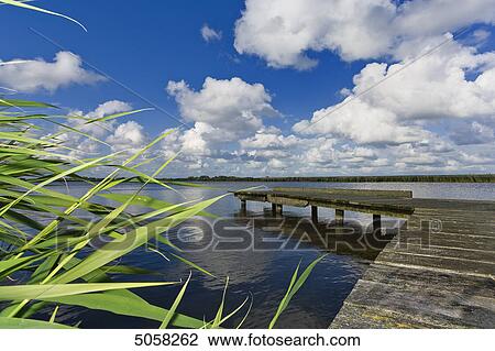 Stock Image - Boardwalk at lake, Sylt, Schleswig-Holstein, Germany, Europe . Fotosearch