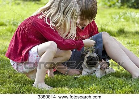 Boy, girl and pug on lawn View Large Photo Image Picture - Boy, girl and pug on lawn . Fotosearch