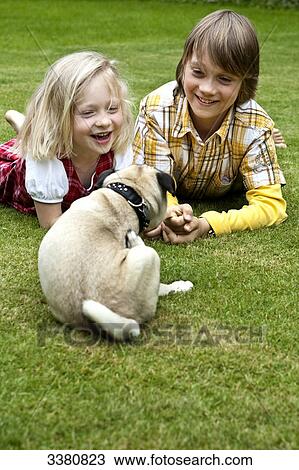 Boy, girl and pug on lawn View Large Photo Image Stock Image - Boy, girl and pug on lawn . Fotosearch