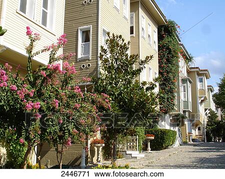 Buildings along street, Istanbul, Turkey View Large Photo Image Stock Image - Buildings along street, Istanbul, Turkey . Fotosearch