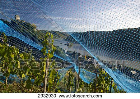 Stock Image - Castle Pfalzgrafenstein, Kaub, Germany . Fotosearch