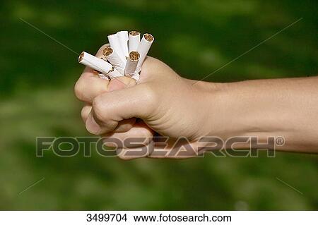 Picture - Cigarettes in a fist, close-up . Fotosearch