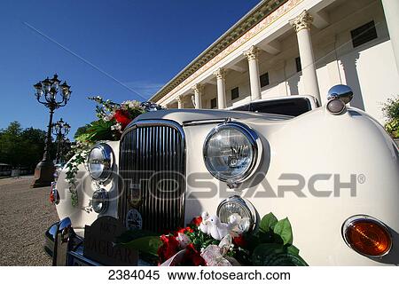 Stock Photography - Close-up of car decorated with flowers, Baden-Wuerttemberg, Germany . Fotosearch