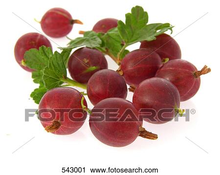 Stock Image - Close-up of gooseberries . Fotosearch