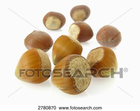 Stock Image - Close-up of hazelnuts on white background . Fotosearch