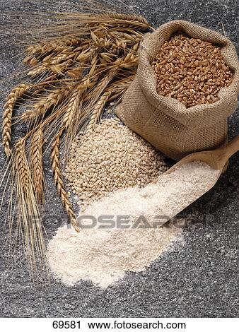 Close-up of sack full of wheat grains View Large Photo Image Stock Image - Close-up of sack full of wheat grains . Fotosearch