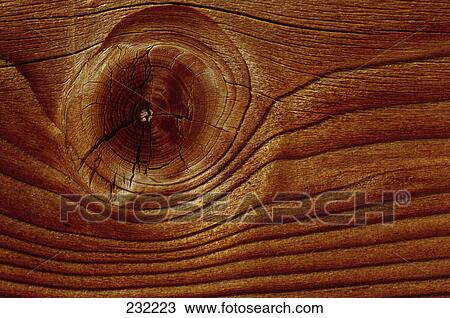Stock Image - Close-up of wood grain . Fotosearch