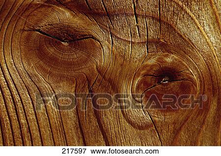 Stock Photo - Close-up of wood grain . Fotosearch
