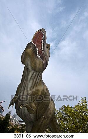Copy of a Tyrannosaurus Rex, Naturmuseum Senckenberg, Frankfurt am Main, Hesse, Germany View Large Photo Image Stock Photography - Copy of a Tyrannosaurus Rex, Naturmuseum Senckenberg, Frankfurt am Main, Hesse, Germany . Fotosearch