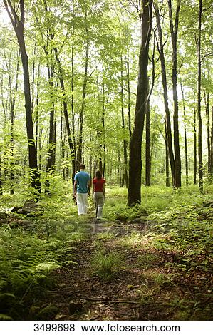 Stock Photo - Couple walking in a forest, rear view . Fotosearch