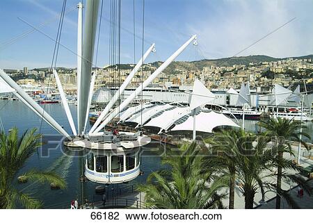 Stock Image - Crane in marina, Genoa, Liguria, Italy . Fotosearch