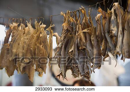 dried fish, close-up View Large Photo Image Stock Image - dried fish, close-up . Fotosearch