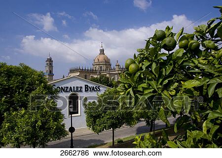 Stock Photograph - Facade of wineshop, Jerez De La Frontera, San Salvador Cathedral, Cadiz, Andalusia, Spain . Fotosearch