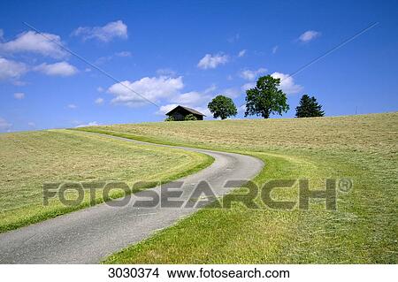 Picture - Field road to small hut and grove, Allgau, Germany . Fotosearch