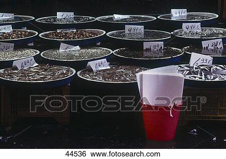 Fish in buckets for sale in market View Large Photo Image Stock Photograph - Fish in buckets for sale in market . Fotosearch