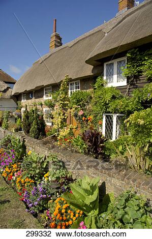 Stock Image - Flowers in front of house, Sussex, England . Fotosearch