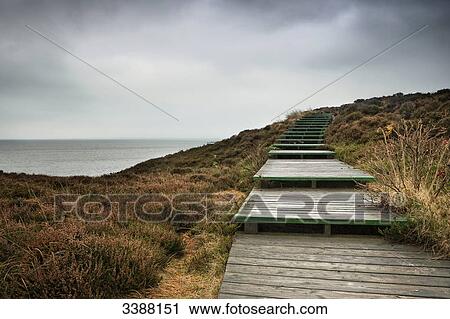 Stock Image - Footbridge on a dune at the North Sea coast, Sylt, Germany . Fotosearch