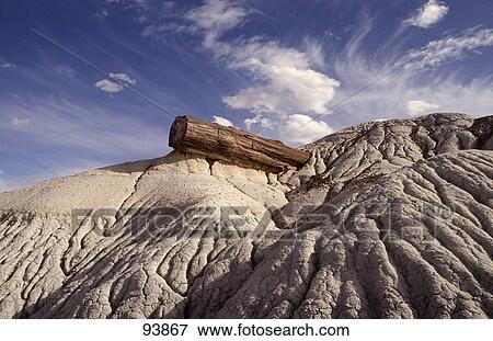 Fossils on landscape, Petrified Forest National Park, Arizona, USA View Large Photo Image Stock Photo - Fossils on landscape, Petrified Forest National Park, Arizona, USA . Fotosearch
