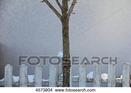 Garden fence and tree in winter View Large Photo Image Picture - Garden fence and tree in winter . Fotosearch
