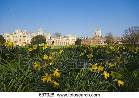 Garden in front of college, St Johns College, Cambridge University, Cambridge, Cambridgeshire, England View Large Photo Image Stock Photography - Garden in front of college, St Johns College, Cambridge University, Cambridge, Cambridgeshire, England . Fotosearch