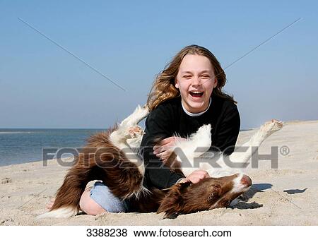 Girl and Border Collie playing at beach  View Large Photo Image Stock Photo - Girl and Border Collie playing at beach . Fotosearch