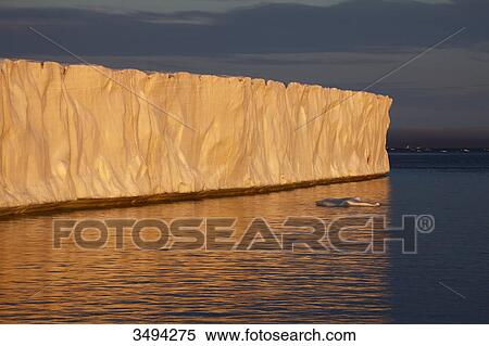 Glacier Brasvellbreen, Spitsbergen, Norway, Europe View Large Photo Image Stock Photography - Glacier Brasvellbreen, Spitsbergen, Norway, Europe . Fotosearch