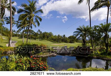 Gold Course View Large Photo Image Stock Image - Gold Course . Fotosearch