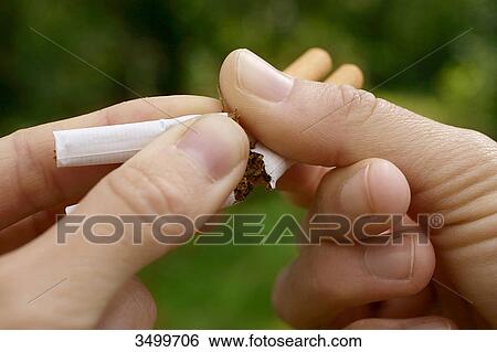 Stock Photograph - Hands breaking cigarettes, close-up . Fotosearch