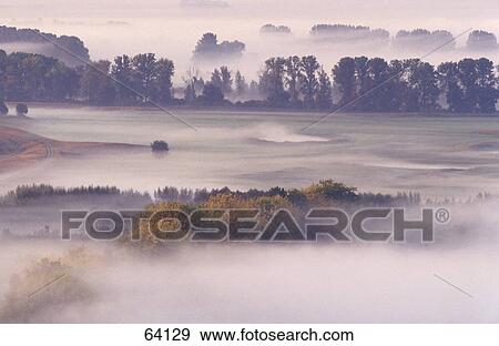 High angle view of a landscape in fog, fog, Gemuender Au, Oberpfalz, Germany View Large Photo Image Stock Photo - High angle view of a landscape in fog, fog, Gemuender Au, Oberpfalz, Germany . Fotosearch