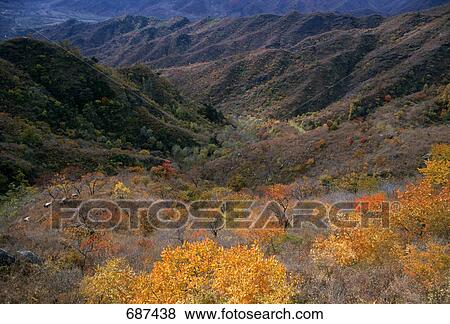 High angle view of plants with mountains in background, Japan View Large Photo Image Stock Photo - High angle view of plants with mountains in background, Japan . Fotosearch