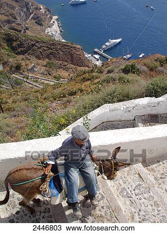High angle view of senior man riding on donkey View Large Photo Image Stock Image - High angle view of senior man riding on donkey . Fotosearch