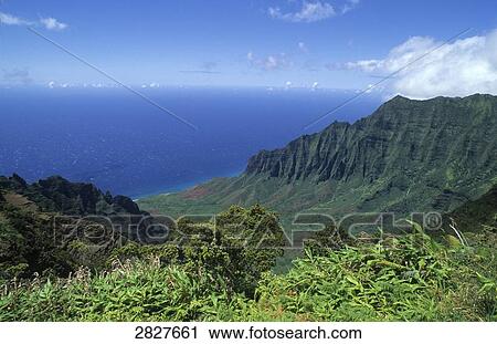 Honopue Valley, Hawaii, USA View Large Photo Image Stock Image - Honopue Valley, Hawaii, USA . Fotosearch