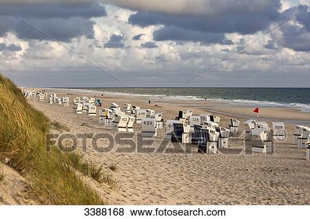 Stock Photo - Hooded Beach Chairs at beach of Rantum, Sylt, Germany, elevated view . Fotosearch