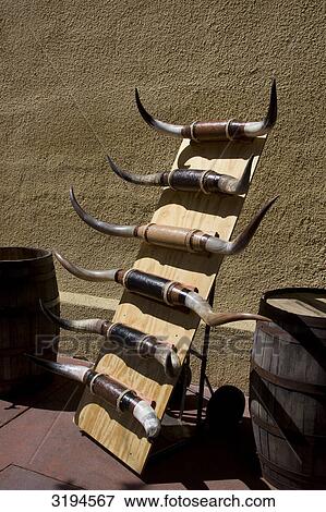 Horns of long-horns, Fort Worth, Texas, USA View Large Photo Image Stock Photo - Horns of long-horns, Fort Worth, Texas, USA . Fotosearch
